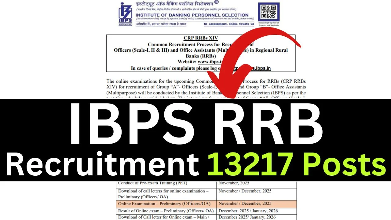 IBPS RRB Notification 2025 Out Apply Online Form